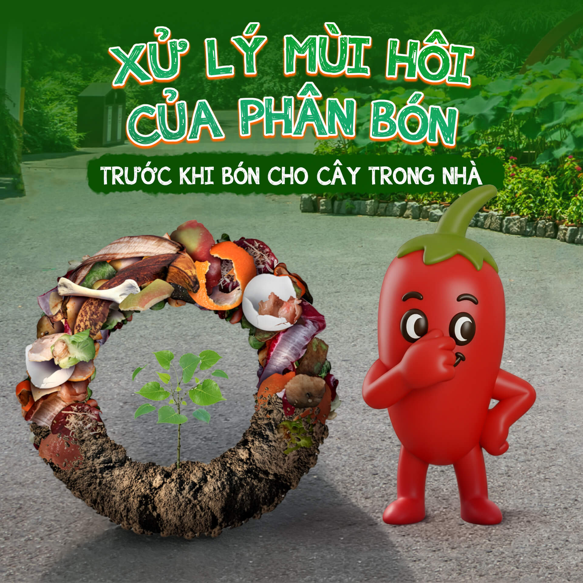 Xử lý mùi hôi từ phân bón hữu cơ trước khi bón cho cây trong nhà