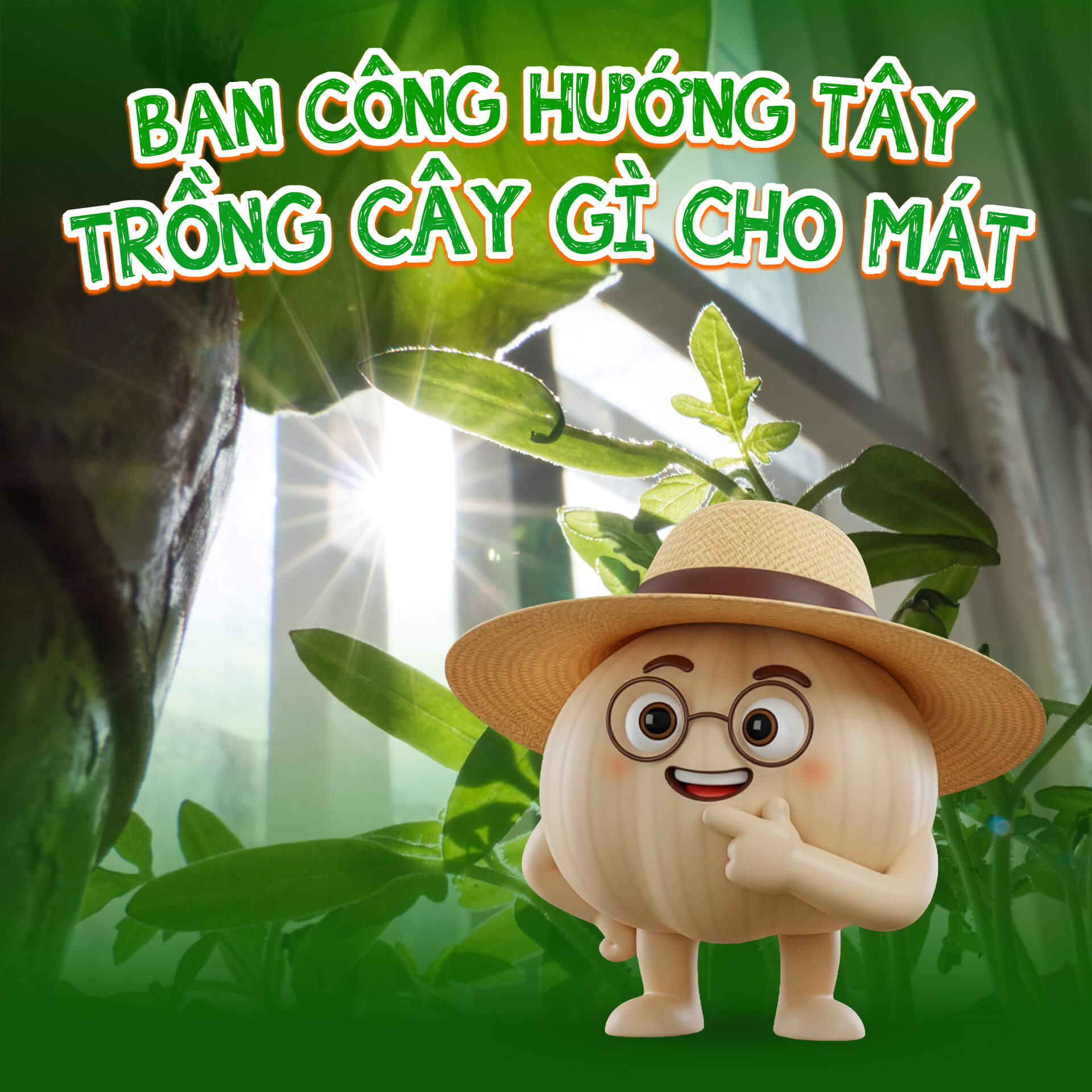 cây trồng ban công hướng tây chịu nắng tốt