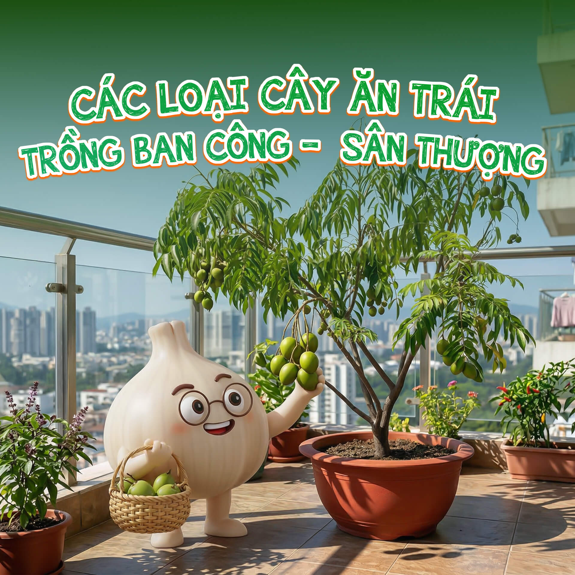 top những cây ăn trái dễ trồng, cây ăn trái trồng ban công, sân thượng