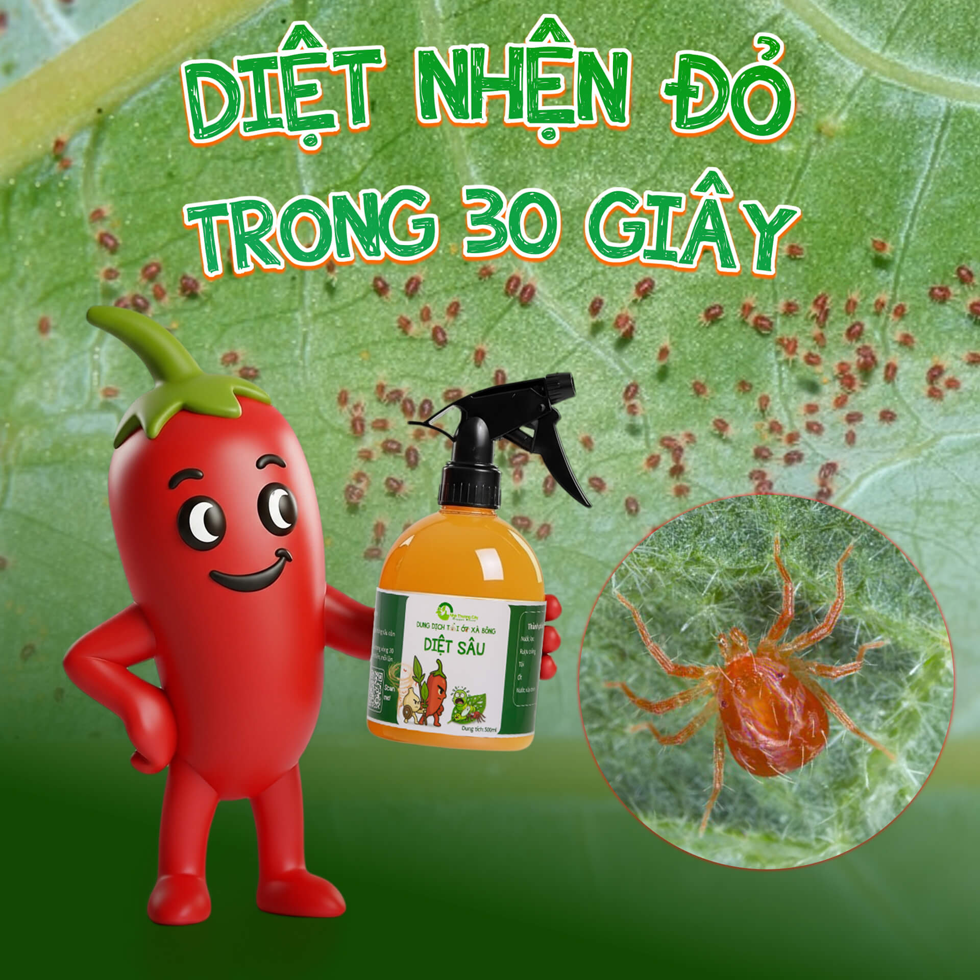 diệt nhện đỏ trong 30 giây